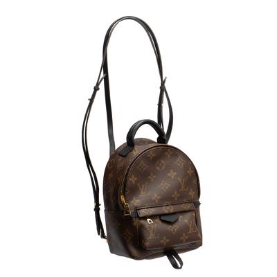 Louis Vuitton Palm Springs Mini Backpack