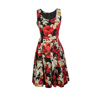 Dolce & Gabbana Size Small Floral Print A Line Dress