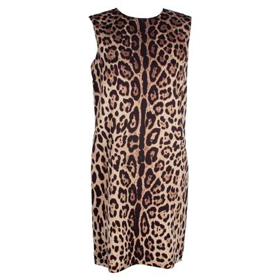 Dolce & Gabbana Size 42 Brown Dress