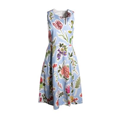 Carolina Herrera Size 8 Blue Floral Dress